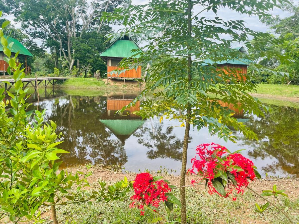 Sunrise Of Tambopata Villa Puerto Maldonado Luaran gambar